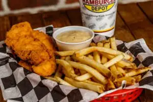 (2) Chicken strips served with cream gravy and fries.